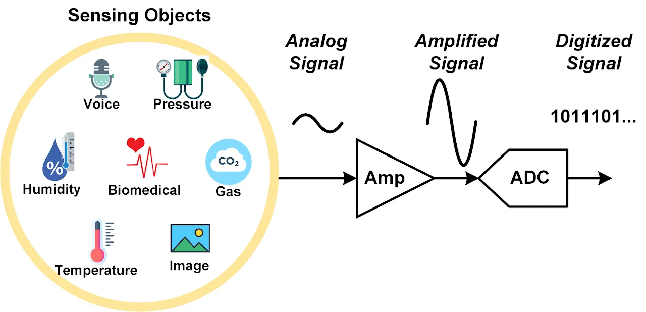 Sensor interface signal chain from physical sensing objects through amplification and analog-to-digital conversion.